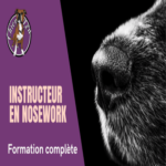 Logo du groupe Instructeur en Détection sportive & Nosework